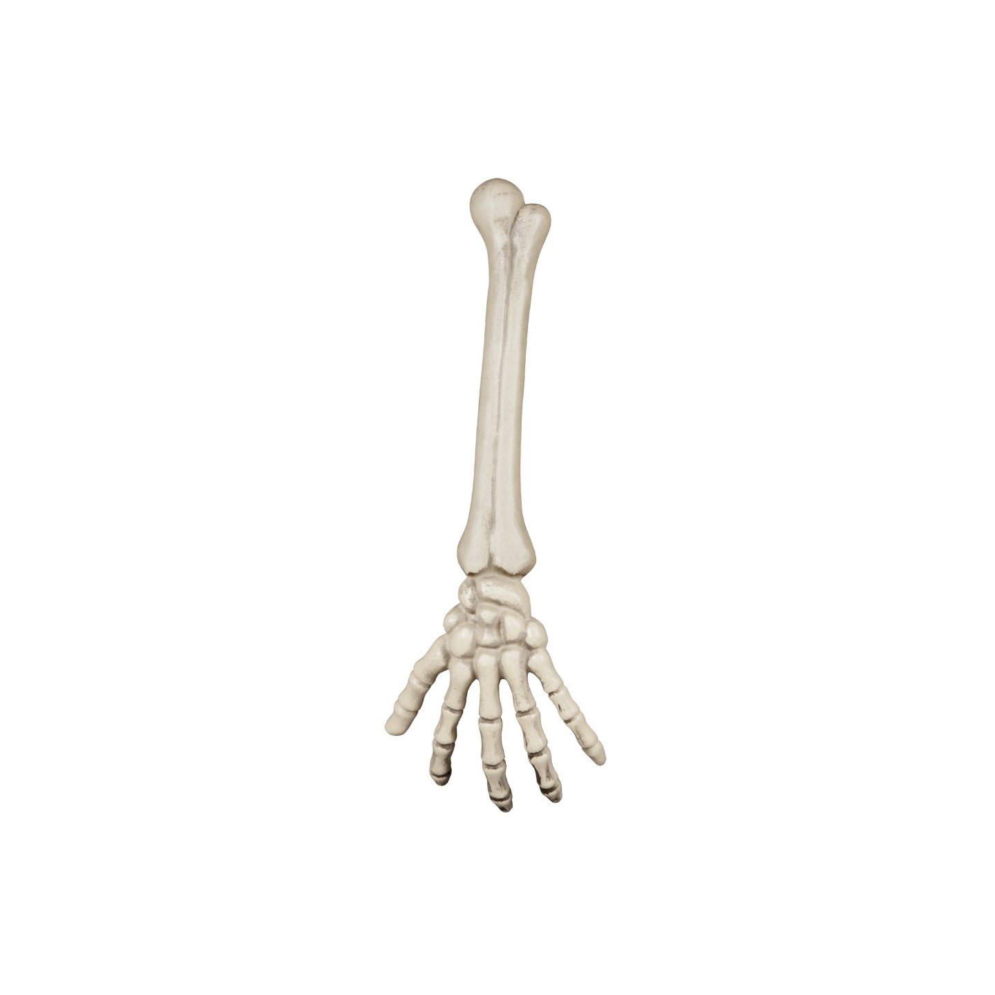 halloween decoratie spullen accessoires Skelet arm 46cm