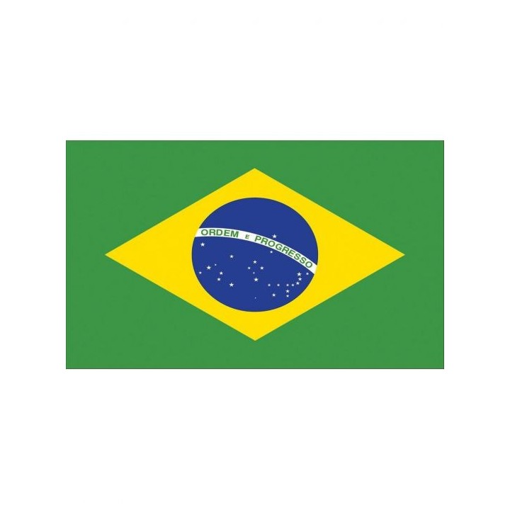 Braziliaanse vlag brazilie