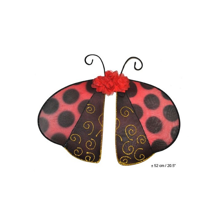 lievheersbeestje vleugels carnaval ladybug