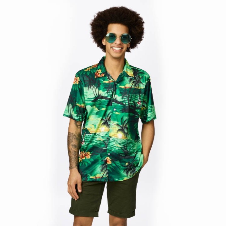 Hawaii hemd heren shirt hawaii kleding