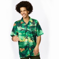 Hawaii hemd heren shirt hawaii kleding