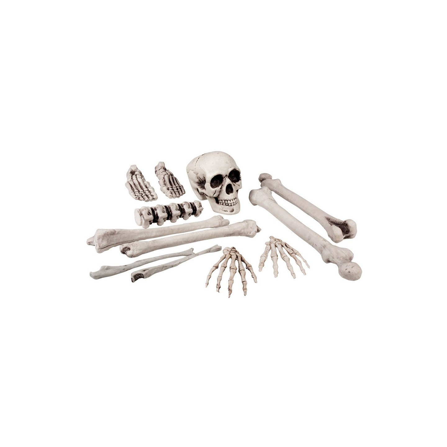 Halloween decoratie Skelet knoken beenderen