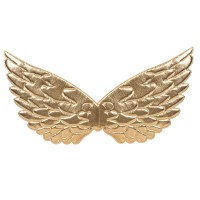 Gouden engelenvleugels engel vleugels carnaval
