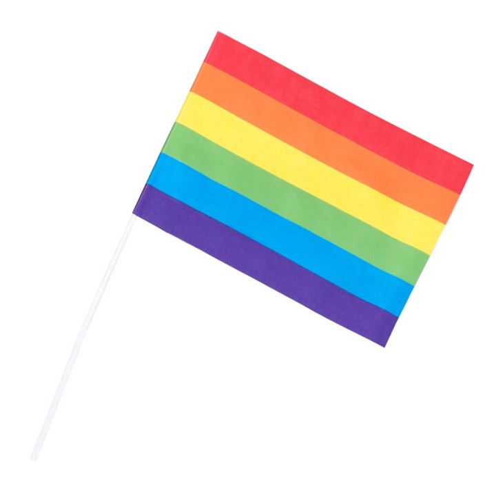 Regenboog vlaggetjes holebi zwaaivlaggetjes kopen