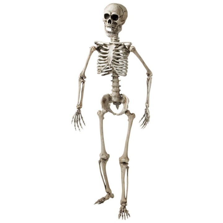 halloween decoratie skelet groot