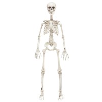 halloween decoratie skelet