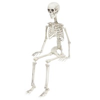 halloween decoratie skelet