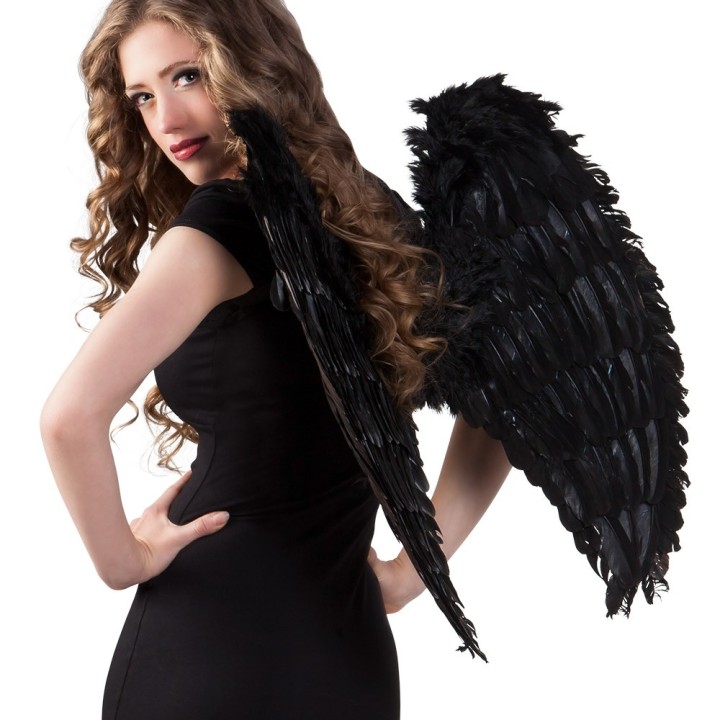 zwarte vleugels engel carnaval kopen