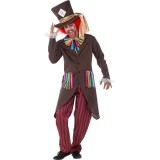 Mad Hatter kostuum heren Alice Wonderland
