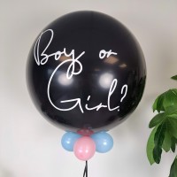 grote gender reveal ballon meisje