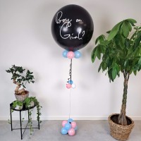 helium gender reveal ballon meisje