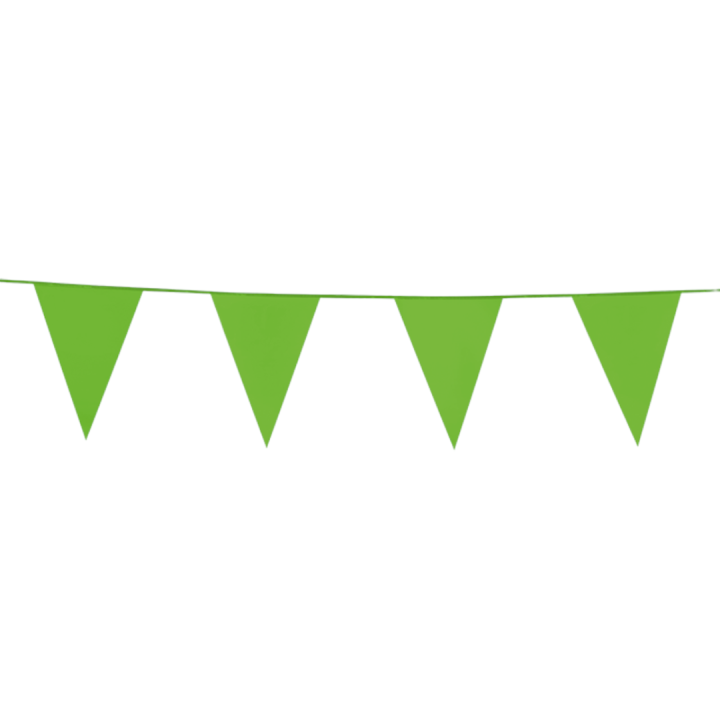 vlaggenlijn licht groen vlaggetjes slinger