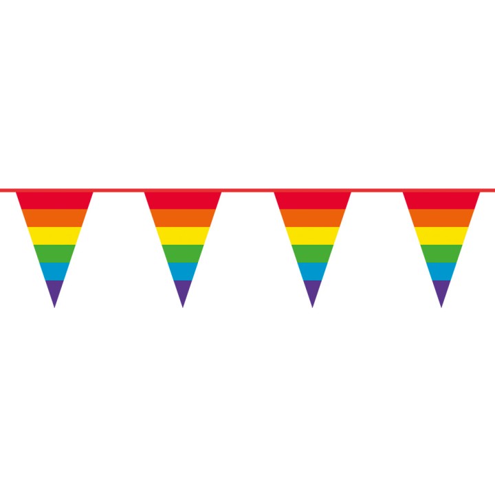 Regenboog vlaggenlijn versiering decoratie
