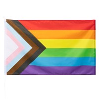 regenboog vlag progress pride versiering