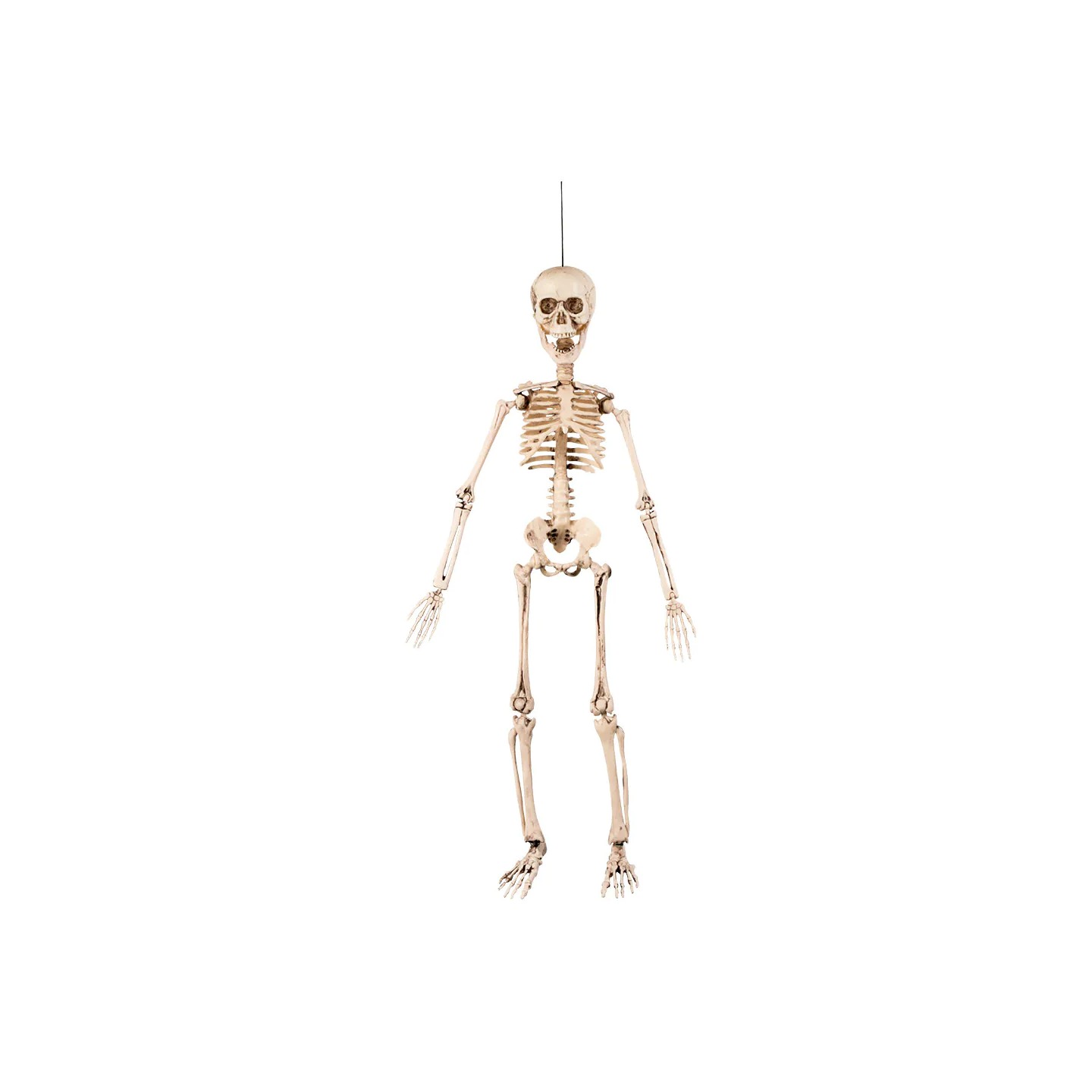 klein halloween decoratie skelet