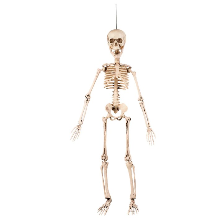 klein halloween decoratie skelet