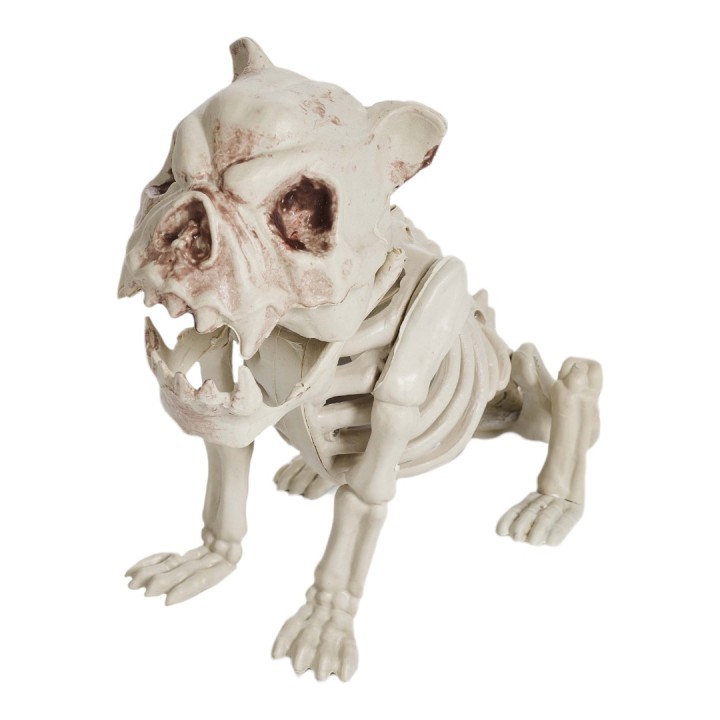 halloween decoratie skelet hond