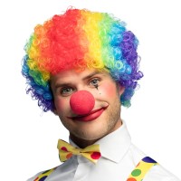 Regenboog clown Pruik Krullen clownspruik