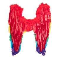 Regenboog vleugels engelenvleugels carnaval