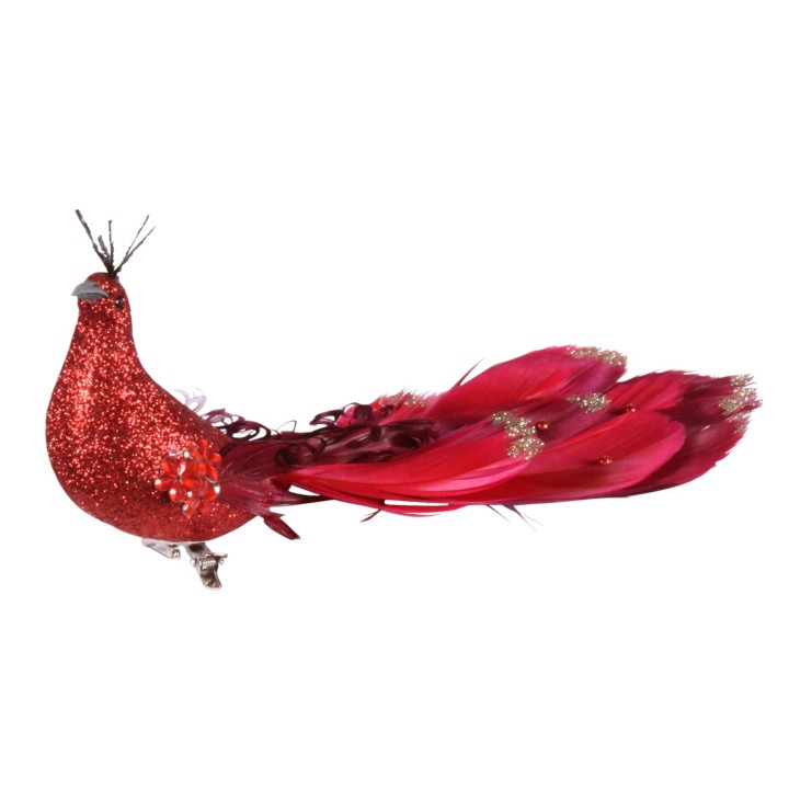 hoed versiering decoratie vogel rood