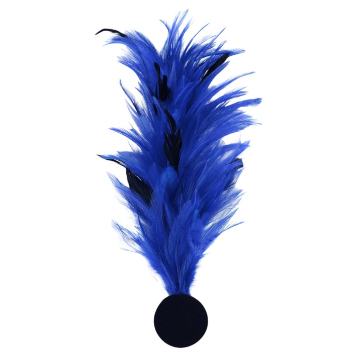 veren pluim blauw hoed versiering
