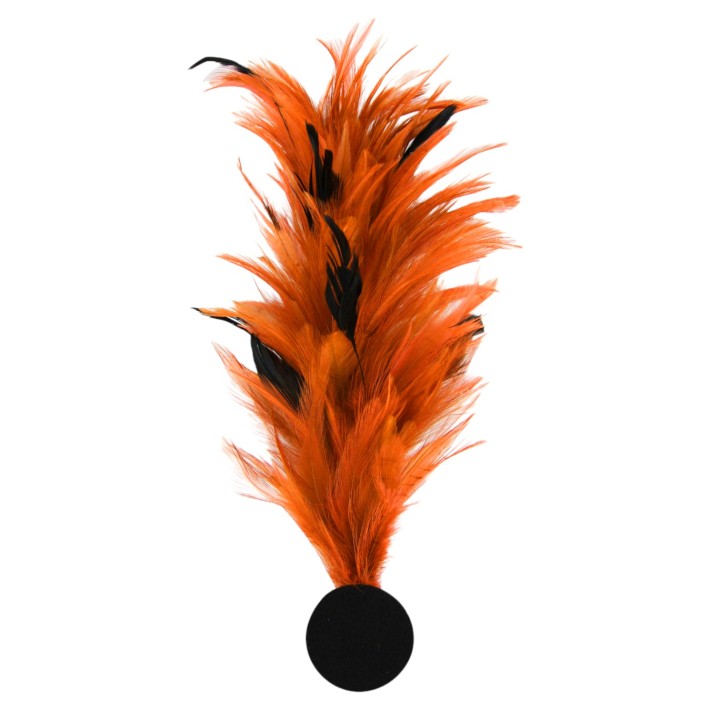 veren pluim oranje hoed versiering