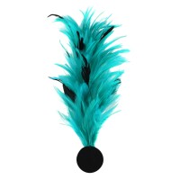 veren pluim turquoise hoed versiering