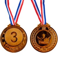 speelgoed bronzen medaille 3de plaats
