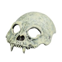 Skull masker enge halloween maskers