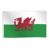 vlag van wales rode draak