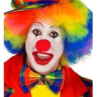 grote clown strik geruit