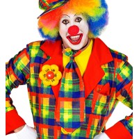 grote clown das geruit