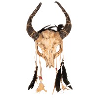 voodoo gezicht masker veren halloween ram