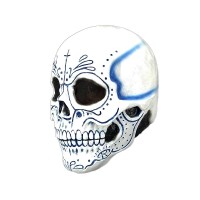 halloween masker day of the dead catrin blauw