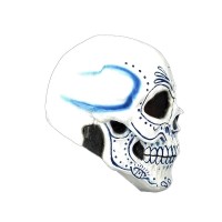 halloween masker day of the dead catrin blauw