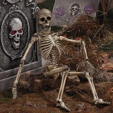 Halloween Skeletten