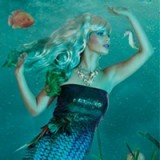 Zeemeermin | Mermaid